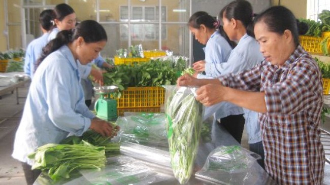 Triển khai chuỗi cung cấp rau, thịt an toàn tại Hà Nội