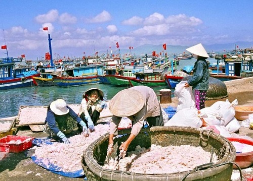 Nhiều cảng cá tại Bình Định đang trong tình trạng quá tải 