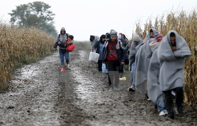 Người di cư vượt biên giới Serbia-Croatia