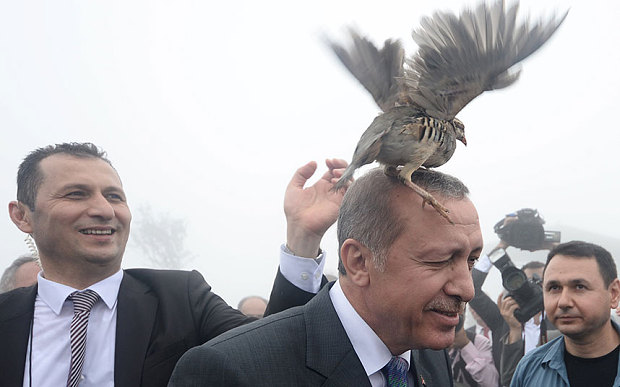 Tổng thống Thổ Nhĩ Kỳ bị gà bay vào mặt, theo tin tức mới cập nhật quốc tế 
