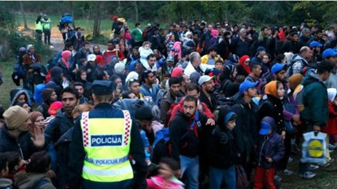 Hàng vạn người di cư đã từ Crotia vào Hungary để tìm đường đến châu Âu, theo tin tức mới cập nhật quốc tế 