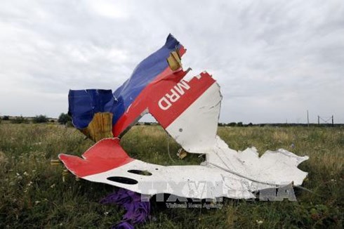 Mảnh vỡ máy bay MH17 ở Shaktarsk, vùng Donetsk, miền Đông Ukraine ngày 18/7/2014