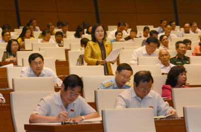 Đại biểu Quốc Hội thành phố Hà Nội phát biểu ý kiến tại hội trường