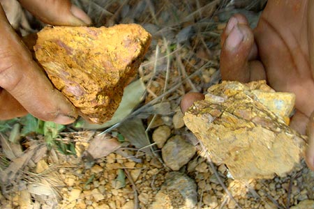 Trong những tin tức pháp luật mới nhất hôm nay có vụ tịch thu hơn 1,5 tấn quặng vàng ở Quảng Nam