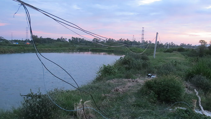 Những tin tức pháp luật mới nhất trong ngày đề cập đến vụ giăng điện bắt cá làm chết người ở tỉnh Thái Bình