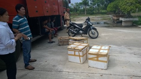 Phát hiện xe khách chở thực phẩm bẩn và xe máy bị trộm theo những tin tức pháp luật online mới nhất trong ngày. Ảnh 