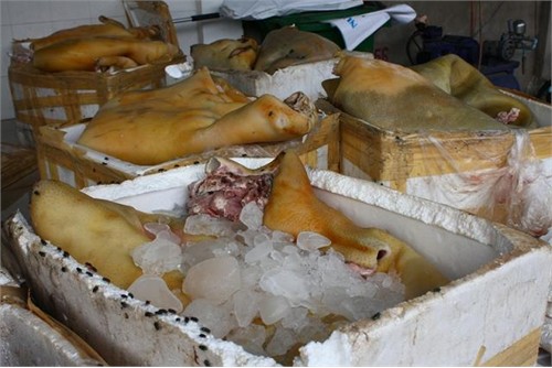 Trong những tin pháp luật 24h qua có vụ bắt xe khách chở hơn nửa tấn thịt heo thối vào Sài Gòn tiêu thụ