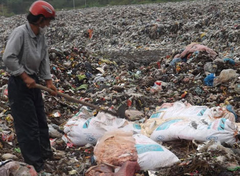Tịch thu và tiêu hủy 600kg nội tạng động vật bốc mùi hôi thối ở Nghệ An là một trong những tin pháp luật 24h qua