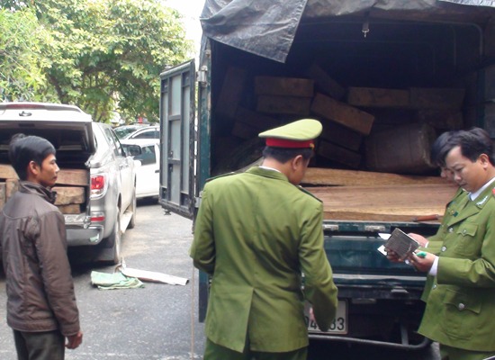 Trong những tin tức pháp luật mới nhất hôm nay có vụ  phương tiện vận chuyển gỗ trái phép bị lực lượng Cảnh sát Môi trường bắt giữ. Ảnh: Báo Công Lý