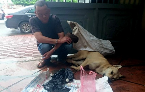 Công an Hà Nội tóm gọn tên trộm chó chuyên nghiệp là một trong những tin tức pháp luật online mới nhất trong ngày