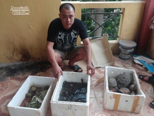 Những tin ph&aacute;p luật 24h qua đề cập đến đối tượng nu&ocirc;i nhốt, mua b&aacute;n r&ugrave;a qu&yacute; hiếm tr&aacute;i ph&eacute;p tr&ecirc;n mạng Internet