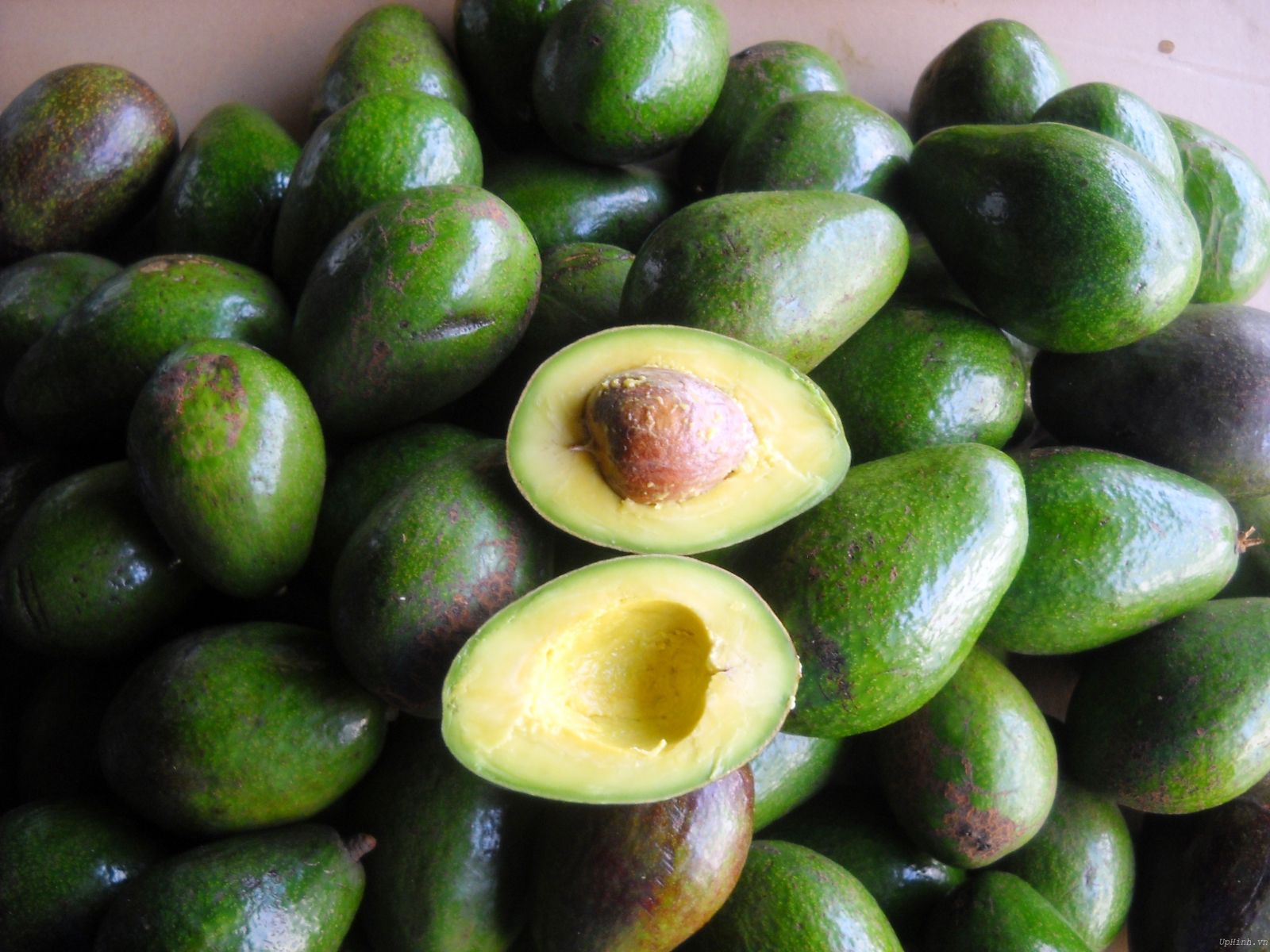 Những tin ph&aacute;p luật 24h qua đề cập đến vụ đi t&ugrave; v&igrave; trộm 20 kg bơ