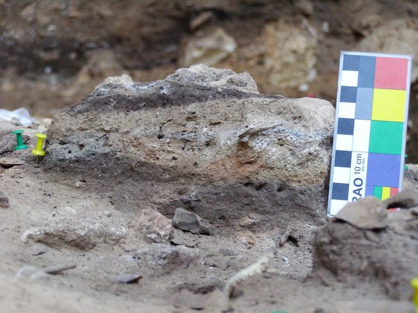 Rất nhiều thông tin khoa học được cho ra bởi phân tích mẫu hóa thạch cổ đại