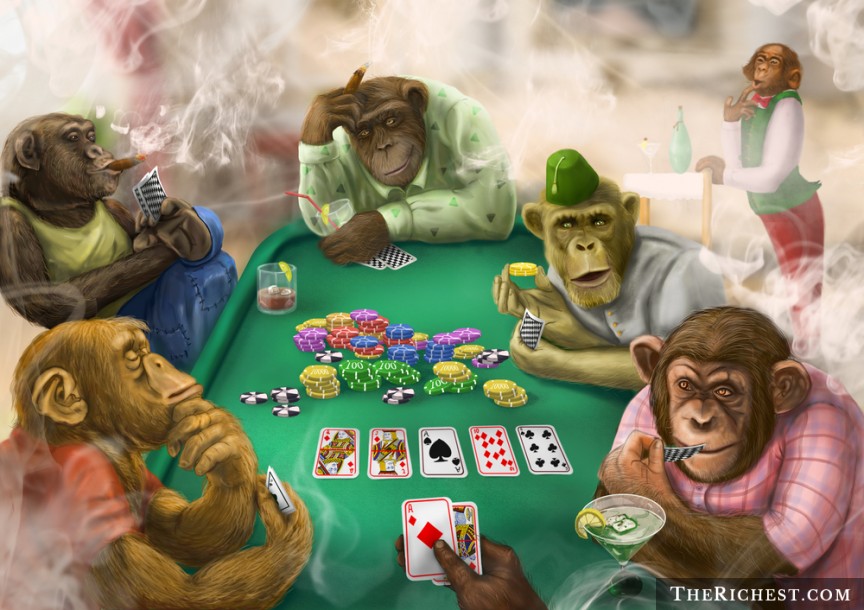 Nghiên cứu trên những con khỉ để cho ra thông tin khoa học về bệnh Nghiện cờ bạc