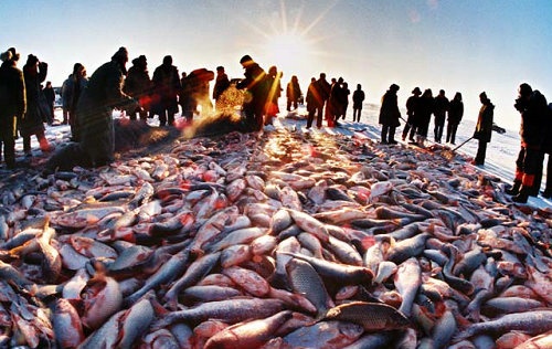Tình hình Biển Đông được cho vào “tầm ngắm” của Trung Quốc vì nguồn lợi thủy hải sản
