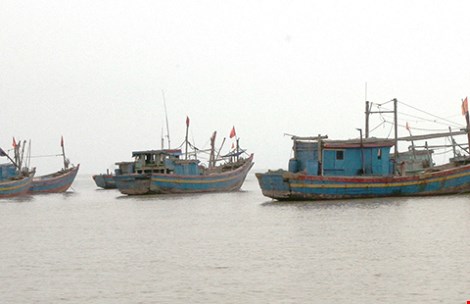 Số lượng tàu cá Trung Quốc vi phạm chủ quyền Biển Đông Việt Nam trong năm 2015 có chiều hướng gia tăng
