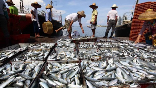 Trung Quốc trả tiền, hỗ trợ phương tiện khuyến khích ngư dân đánh bắt xa bờ trên biển Đông