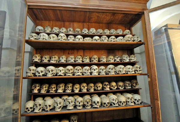 Bảo tàng kinh dị với hơn 400 hộp sọ người được trưng bày