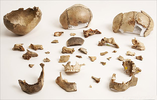 Những dấu tích cho thấy tổ tiên loài người từng ăn thịt đồng loại