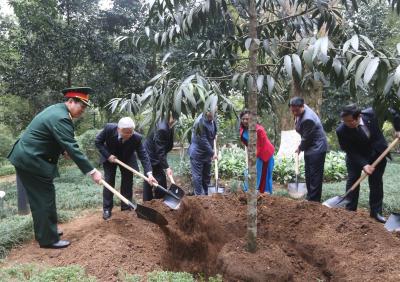 Tổng Bí thư Nguyễn Phú Trọng trồng cây kim giao tại khuôn viên Khu Di tích K9
