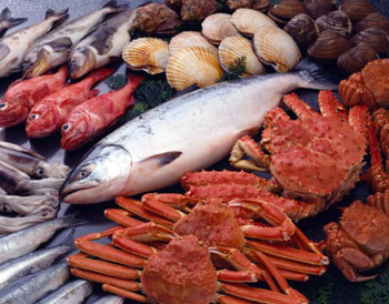 Các loại hải sản tiềm ẩn nhiều nguy cơ gây hại nếu để qua đêm