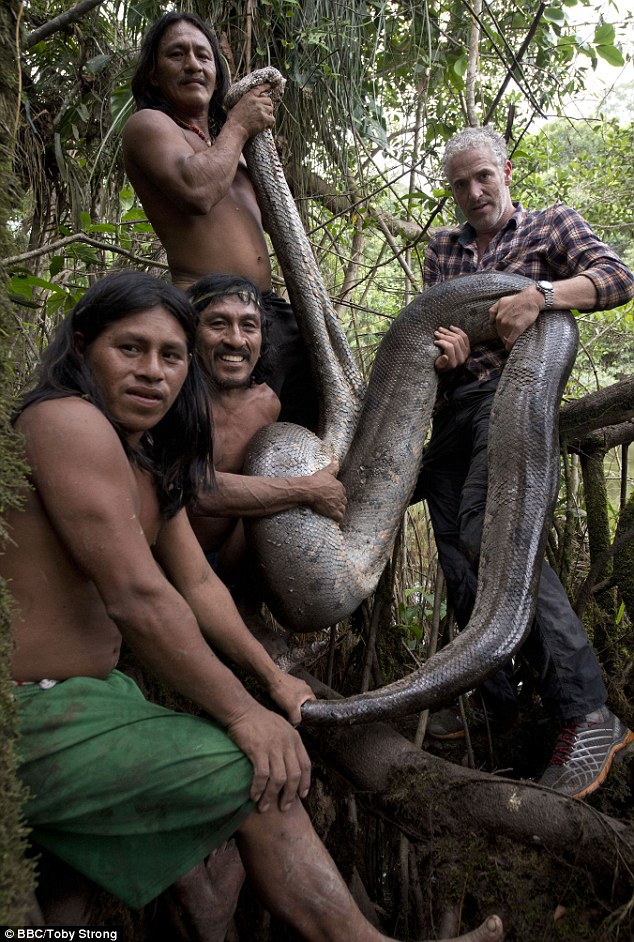 Trăn khổng lồ trốn sâu trong rừng rậm Amazon