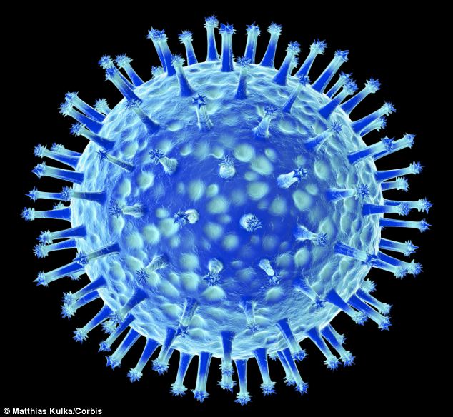 Nhân loại đứng trước hiểm họa virus cúm mới