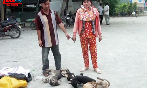 Hai vợ chồng bị bắt quả tang trộm chó ở An Giang