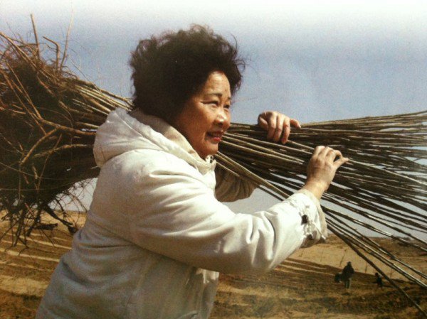 Cô Yi Jiefeng, người mẹ vĩ đại đã dành suốt 12 năm trồng cây xanh trên sa mạc để hoàn thành giấc mơ cho con trai mình 