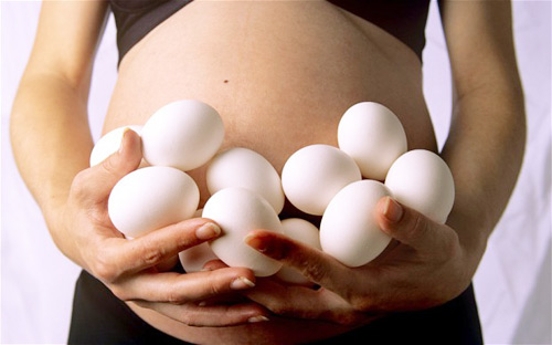 Trứng ngỗng thực ra dinh dưỡng không hơn trứng gà