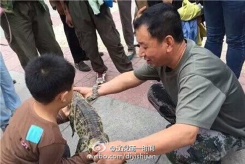 Một cậu bé Trung Quốc cố gắng chạm vào con cá sấu cưng