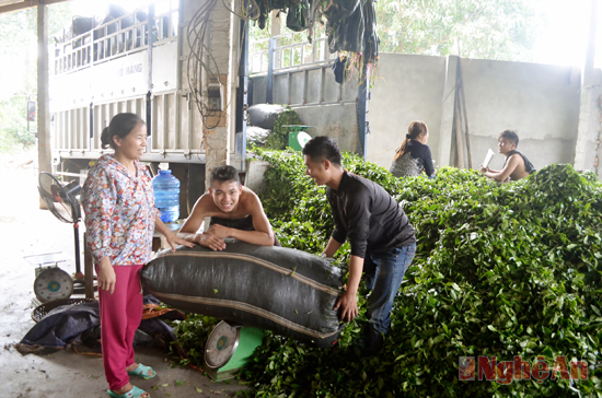 Việc Trung Quốc thu mua nông sản Việt theo đường tiểu ngạch ảnh hưởng trực tiếp đến giá trị xuất nhập khẩu