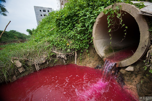 Dòng suối tại tỉnh Quảng Đông, Trung Quốc bất ngờ chuyển màu đỏ tươi như máu 