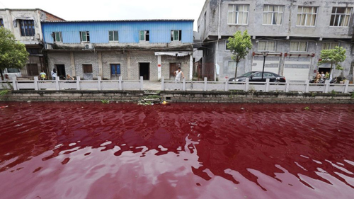 Hiện tượng tương tự từng xuất hiện tại thành phố Ôn Châu, dòng nước đỏ như máu chỉ sau một đêm 