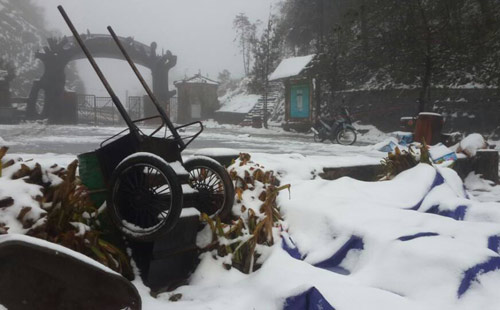 Tuyết rơi ở Sa Pa khiến du khách đổ xô lên Sa Pa chụp ảnh tuyết rơi