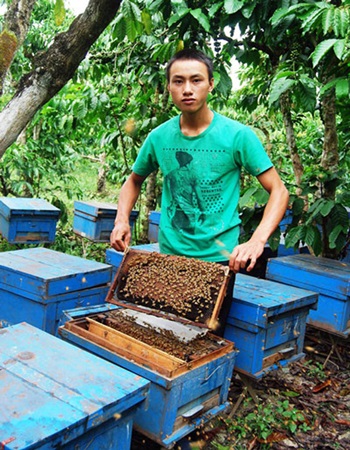 Nghề nuôi ong đã giúp Phạm Văn Bảo Trung trở thành một trong những tỷ phú nông dân trẻ của Việt Nam