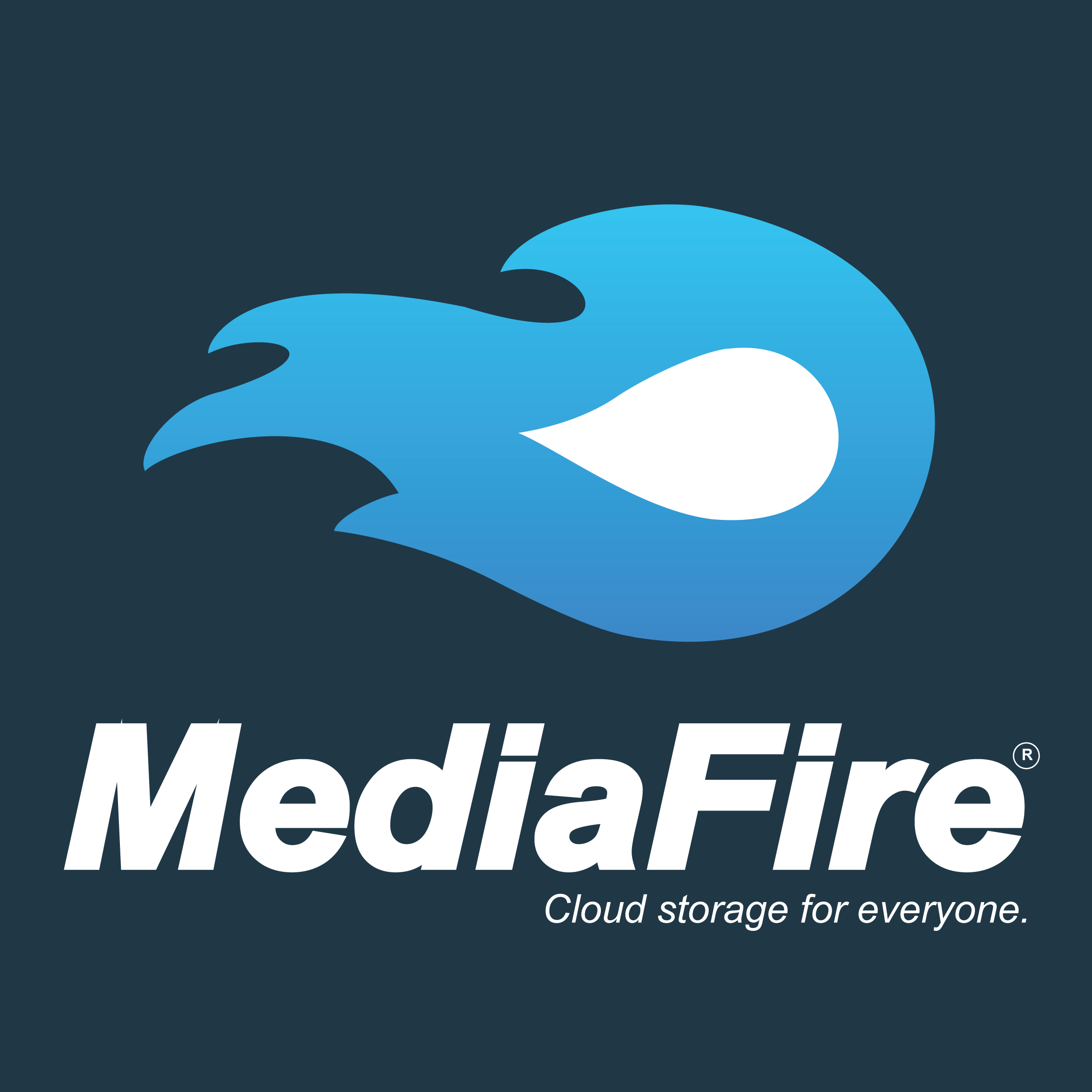 Một ứng dụng hay để lựa chọn với dung lượng lưu trữ miễn phí lớn là Mediafire