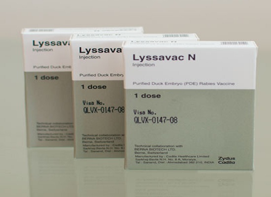 Vắc xin phòng bệnh dại Lyssavac N bị đình chỉ lưu hành