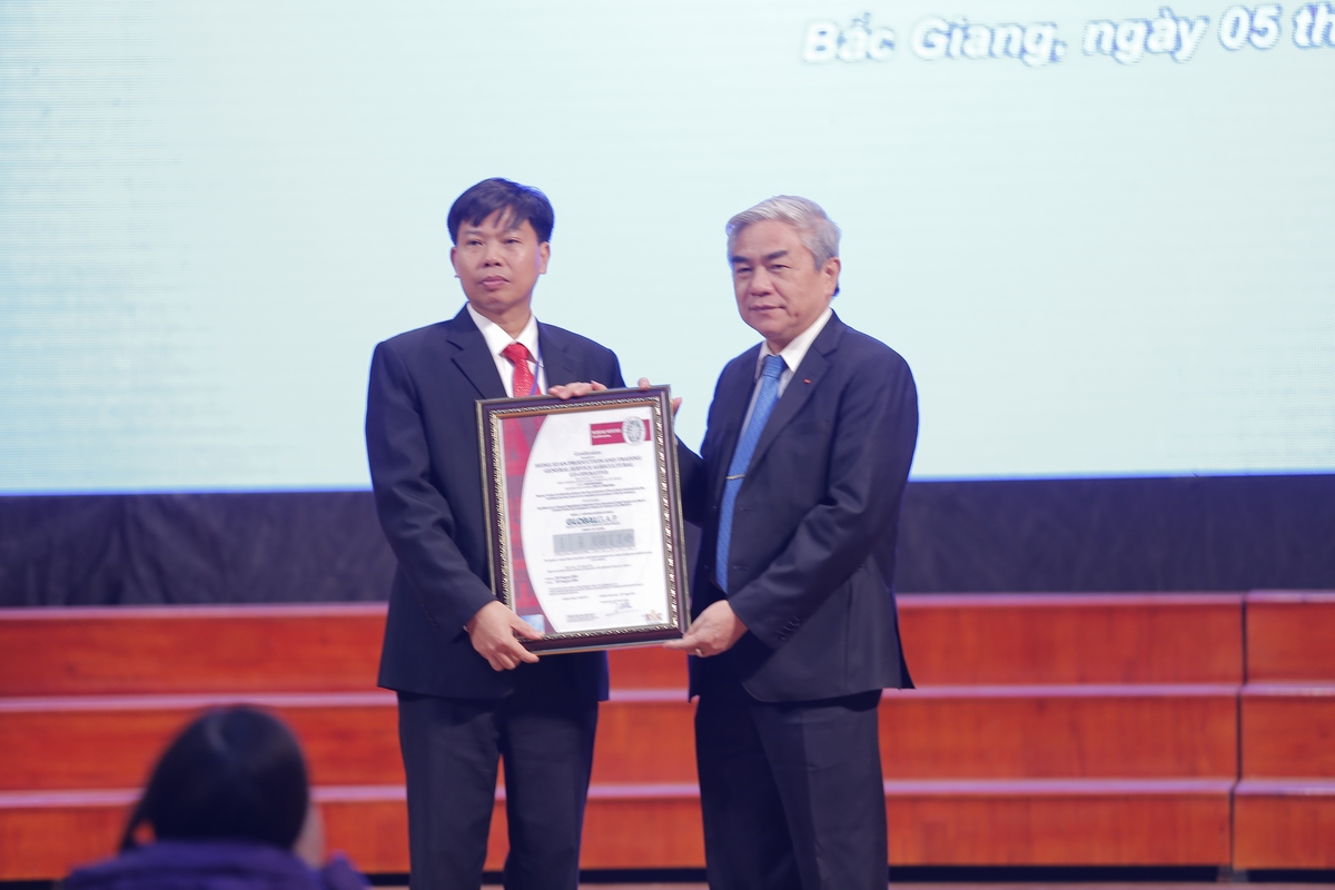 Bộ trưởng Nguyễn Quận đã trao bằng chứng nhận mô hình chăm sóc vải thiều đạt tiêu chuẩn GlobalGAP cho Sở Khoa học và Công nghệ tỉnh Bắc Giang.