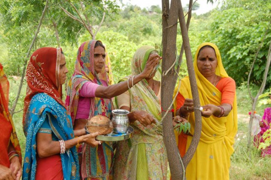Phần lớn văn hóa Ấn Độ ưa thích con trai nhưng ngôi làng nhỏ này ăn mừng trước sự ra đời của bé gái bằng việc trồng trăm cây