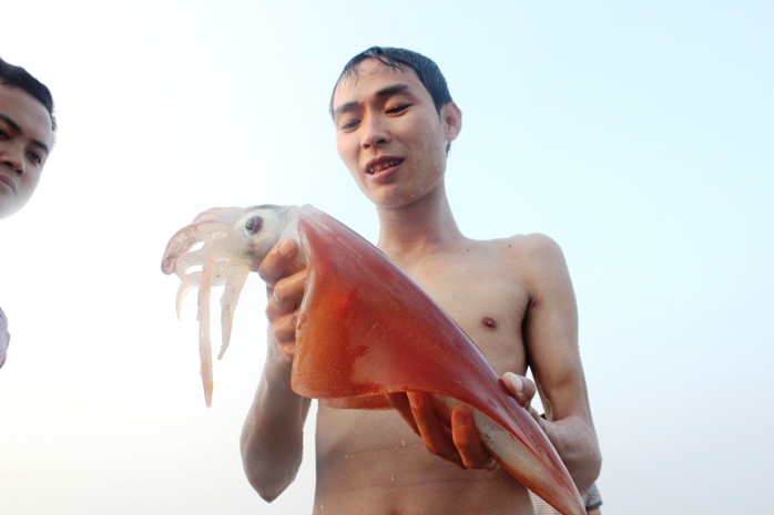 Sắp công bố kết quả chất lượng hải sản tầng đáy ở vùng biển 4 tỉnh miền Trung