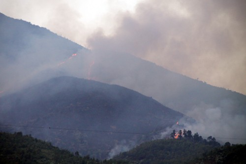 Đám cháy xuất phát từ tiểu khu 11 rừng Nam Hải Vân - Ảnh: Nguyễn Tú