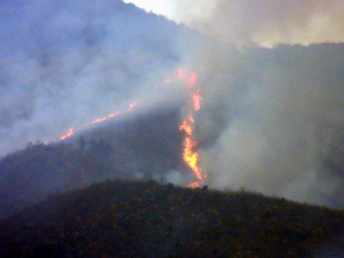 Đám cháy lan nhanh lên đỉnh đèo đe dọa rừng nguyên sinh - Ảnh: Nguyễn Tú 