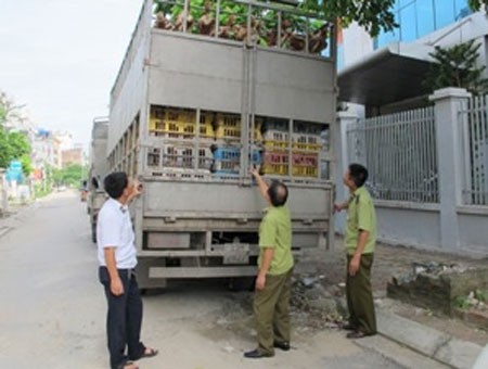 Nhà chức trách thu giữ và tiêu hủy số gà lậu Trung Quốc