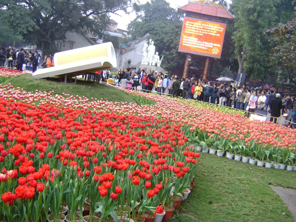 Hội hoa xuân là nơi người dân vui chơi trong dịp Tết đến. 