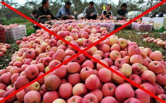 Táo Trung Quốc không an toàn sẽ bị cấm nhập khẩu vào Việt Nam