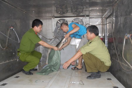 Lô hàng cá tầm lậu hơn 200kg bị bắt giữ ngày 8/5/2013 tại địa bàn xã Nguyễn Huệ (Hòa An, Cao Bằng).