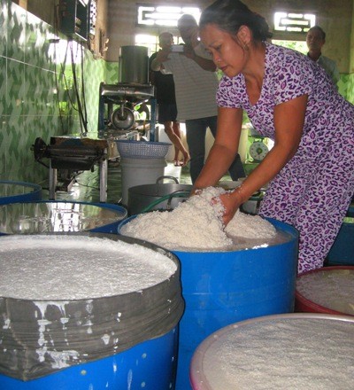 Bún làng Vân Cù chủ yếu được làm bằng gạo trắng, được trồng tại địa phương