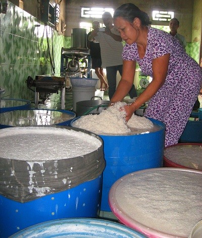 Mỗi ngày làng bún Vân Cù sản xuất từ 10 đến 15 tấn bún