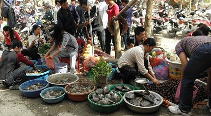 Thông tin thủy sản ở Hà Nội nhiễm kim loại nặng đã khiến cho NTD lo lắng